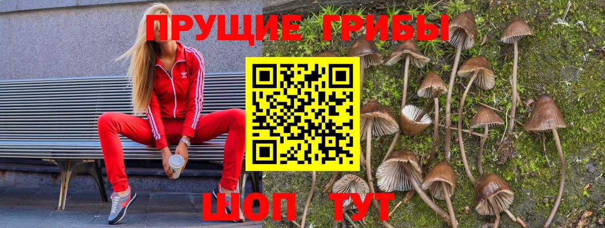 Галлюциногенные грибы ЛСД Кинешма