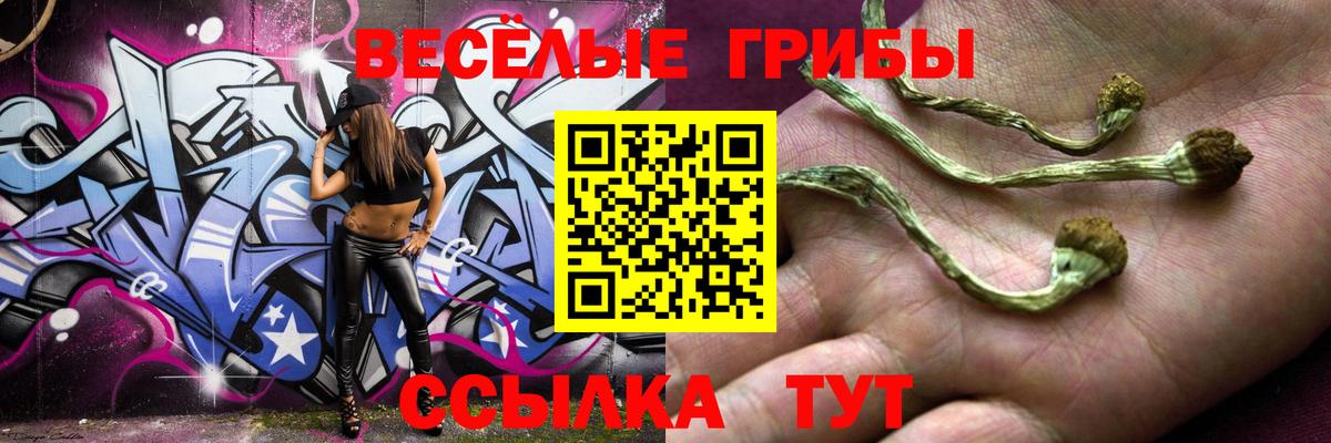 Псилоцибиновые грибы мицелий  Вход с VPN  Псилоцибиновые грибы Psilocybine cubensis  Кинешма 